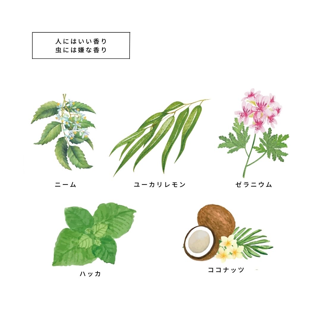 虫除けスプレーBug Go Away®