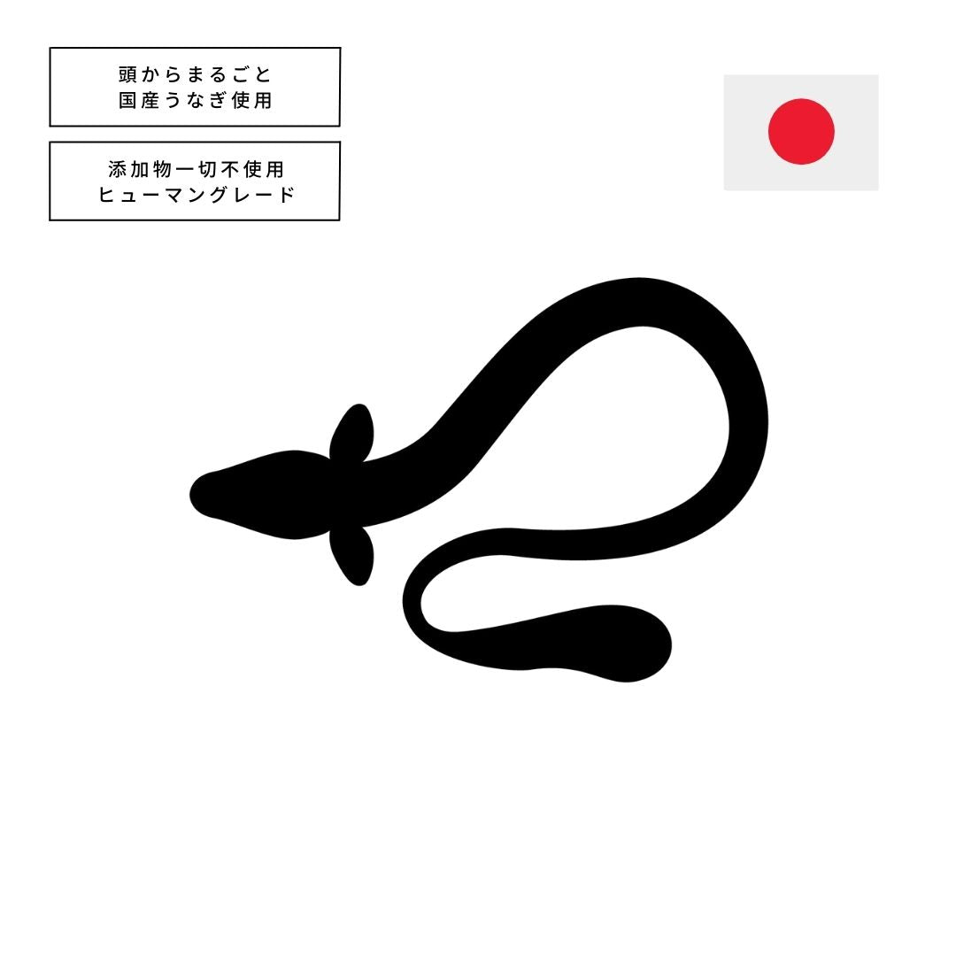 国産うなぎジャーキー (半助/頭のみ)