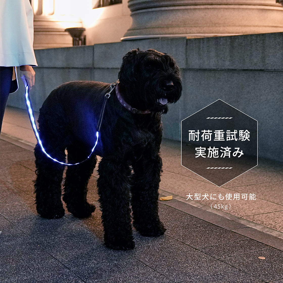 ナイトウォーカー®  LED光るリード