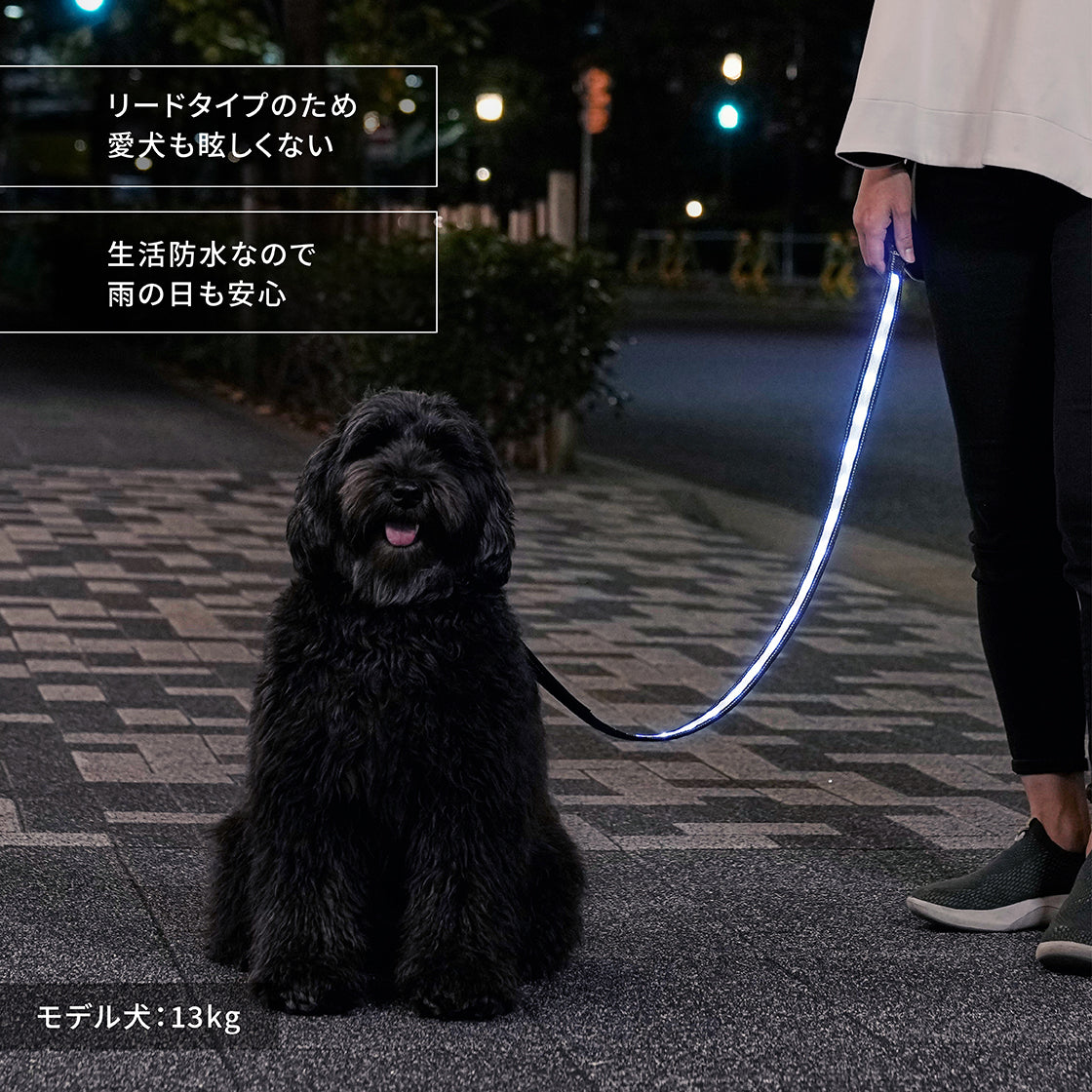 ナイトウォーカー®  LED光るリード