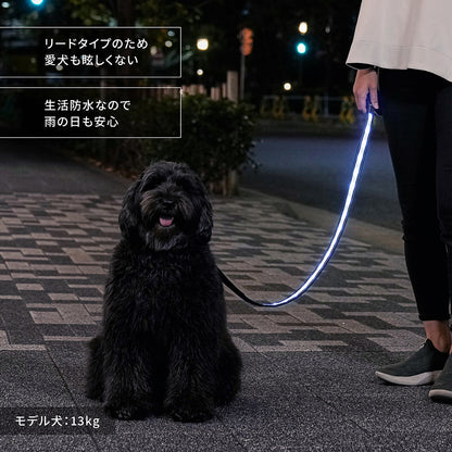 ナイトウォーカー®  LED光るリード